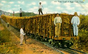 Train de cannes à sucre, Cuba, vers 1910