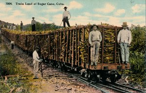Train de cannes à sucre quittant le champ, Cuba, 1915