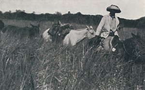 Voyage sur les Pampas, 1916 - Unbekannt