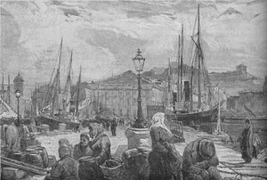 Port de Trieste, 1902 - Unbekannt