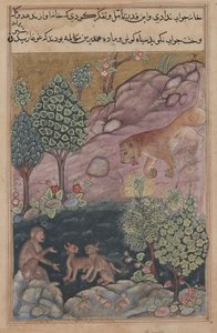 Tuti-Nama Contes d