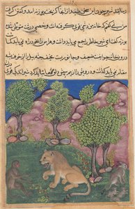 Tuti-Nama Contes d