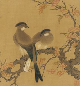 Deux oiseaux huppés sur une branche, feuilles d