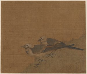 Deux bergeronnettes grises, dynastie Yuan, 14e siècle - Unbekannt
