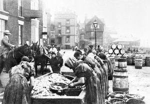 Royaume-Uni : Écailleuses de harengs écossaises au travail à Scarborough. Scarborough, vers 1890