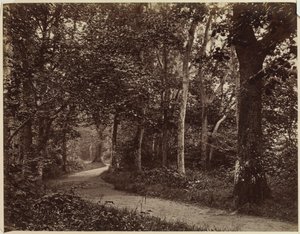 Paysage sans titre, début des années 1860 - Unbekannt