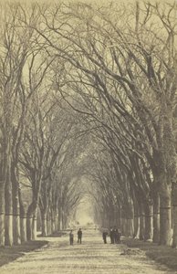Avenue d