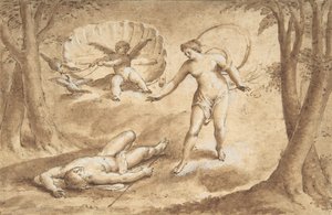 Vénus découvrant la mort d