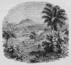 Vue à Cayenne, vers 1880 - Unbekannt