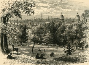 Vue dans le parc de Greenwich - Unbekannt