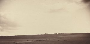 Vue des champs avec des vaches, années 1850-1860 - Unbekannt