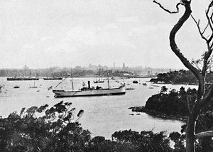 Vue du port de Sydney depuis North Shore, n° 2, vers 1900