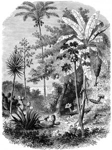 Vue de la côte espagnole, Guatemala, 1877