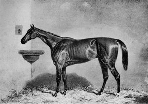 Virago, 1851-1869