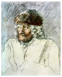 Voltaire, écrivain français