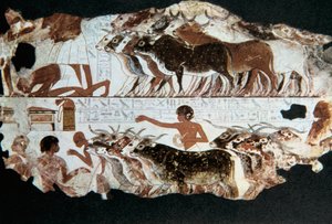 Peinture murale de la tombe de Nebarunun, Thèbes, Égypte - Unbekannt