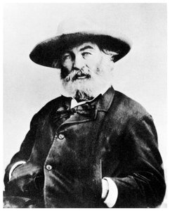 Walt Whitman, poète américain, vers 1866
