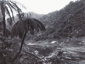 Rivière Wanganui, fin XIXe-début XXe siècle - Unbekannt
