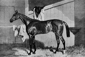 Sorcier, XIXe siècle, 1911