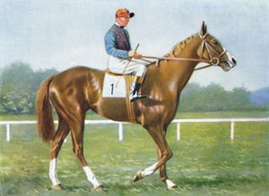 Waterbird, jockey : E. Smith, 1939 - Unbekannt