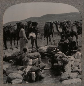 Abreuvement des chameaux au puits de Jacob, vers 1900 - Unbekannt