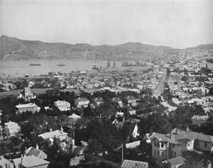 Wellington, 19e siècle - Unbekannt