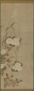 Chrysanthèmes blancs et herbes, période Edo, 1615-1868 - Unbekannt