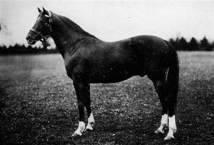 Chasseur de gibier d