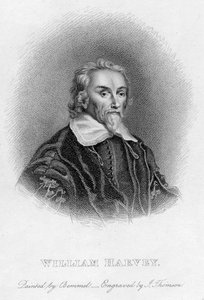 William Harvey 1578-1657, médecin anglais, XVIIe siècle - Unbekannt