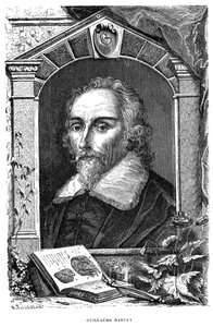 William Harvey 1578-1657 médecin anglais, 17ème siècle - Unbekannt
