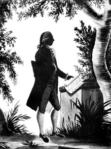 William Pitt le Jeune, homme d