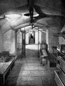 Caves à vin de la Chambre des communes, Westminster, c1905 - Unbekannt