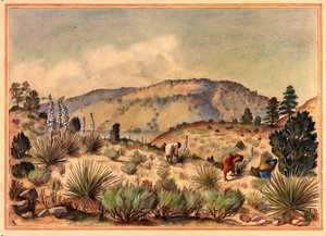 Femmes cueillant des plantes de yucca, XXe siècle - Unbekannt