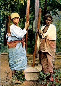 Femmes pilant du riz, Madagascar, fin du 19ème siècle