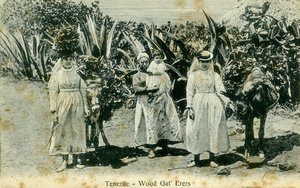 Ramasseurs de bois, Tenerife, Îles Canaries, début du 20e siècle - Unbekannt