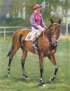 Zoltan, jockey : M. Beary - Unbekannt