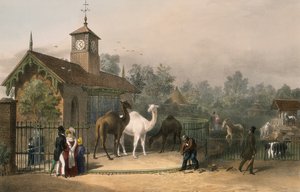 Jardins zoologiques, Regent