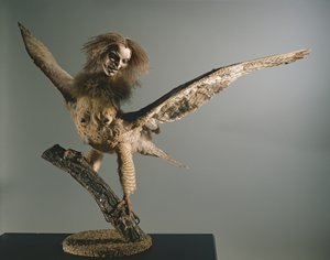 Une Harpie - Unbekannt Unbekannt
