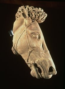 Tête de cheval, IVe-Ve siècle av. J.-C.