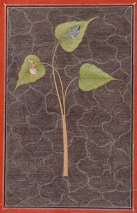 Markandeya voyant Krishna dans l