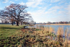 Vue du lac, Corsham Court, Wiltshire