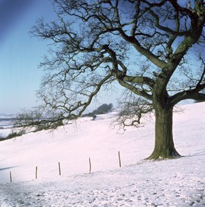 Paysage d