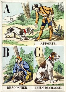 A B C : Apporte, Braconnier, Chien de chasse - L