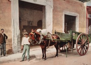 Chariot à mule à La Havane conduit par un vendeur - Unbekannt