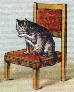 Un chat sur une chaise. Gravure dans "Alphabet de ma petite fille". Bernardin-Bechet et Fils, libraires-éditeurs, Paris, vers 1895. Album incassable sur toile. Bibliothèque des Bébés. 12 pages. Album contenant une méthode de lecture et un abécédaire illust