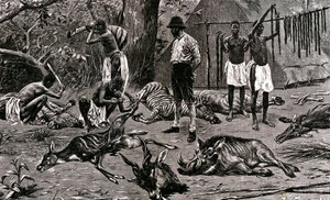 Un grand jour de chasse ! 1900 - Unbekannter Künstler