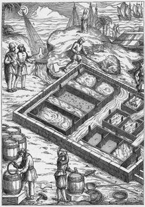 Un marais salant au XVIe siècle (gravure) - Unbekannter Künstler