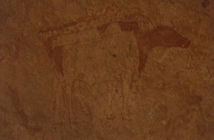 Algérie, désert du Sahara, Parc national du Tassili-n-Ajjer, site de Sefar, peinture rupestre représentant un taureau