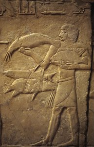 Saqqarah : nécropole de l