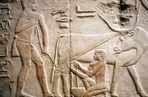 Saqqarah : nécropole de l